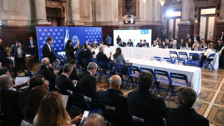 Fracasó la sesión en el Senado: no hubo acuerdo por la ley de biocombustibles y se posterga el debate